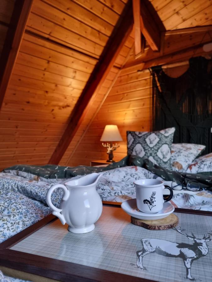 Dzikie Poludnie Holiday home