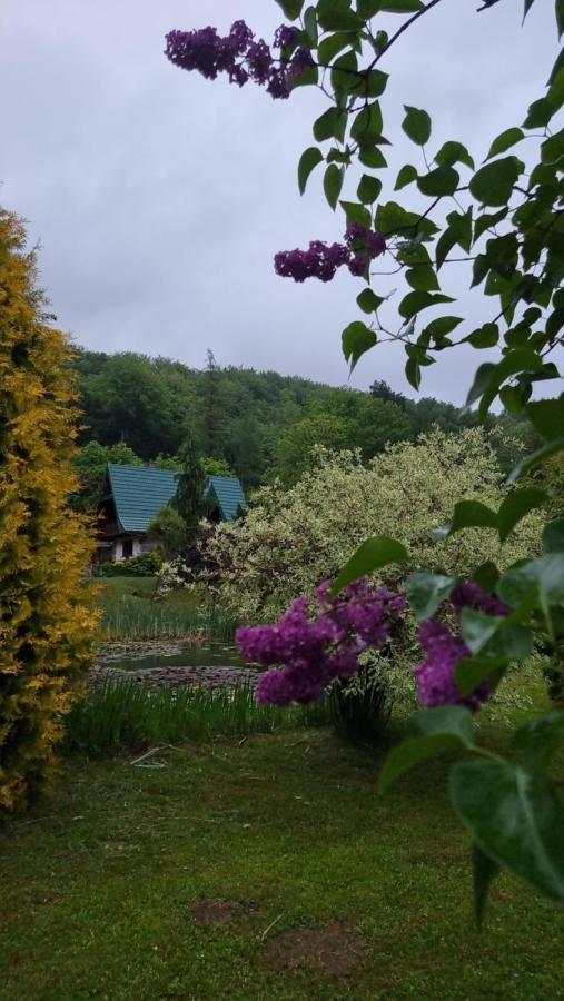 Dzikie Poludnie Holiday home Sanok