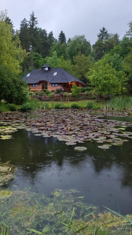 Dzikie Poludnie Holiday home *